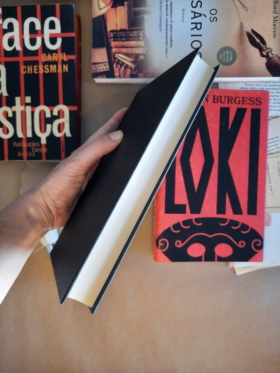 Loki, Melvin Burgess