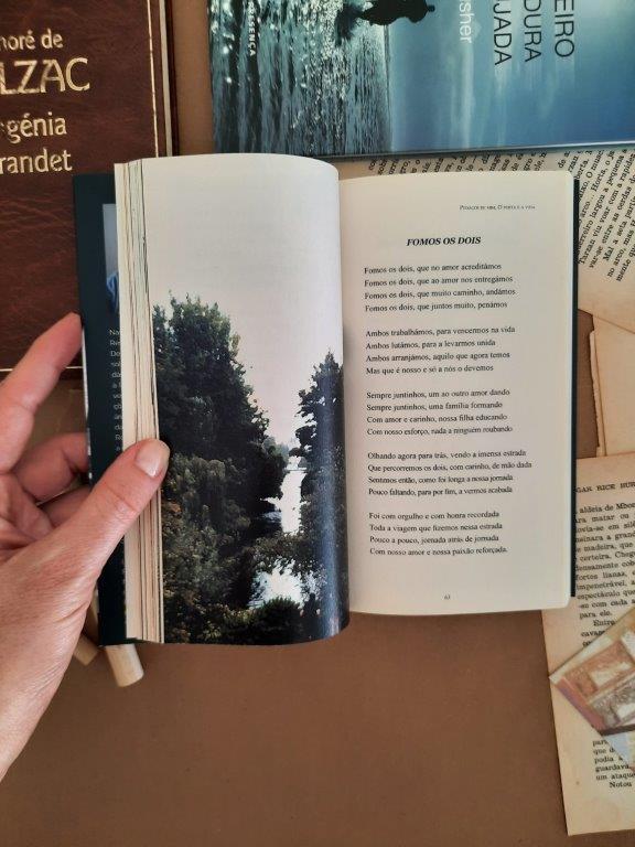 Pedaços de mim, O Poeta e a Vida, António Manuel Esteves Henriques