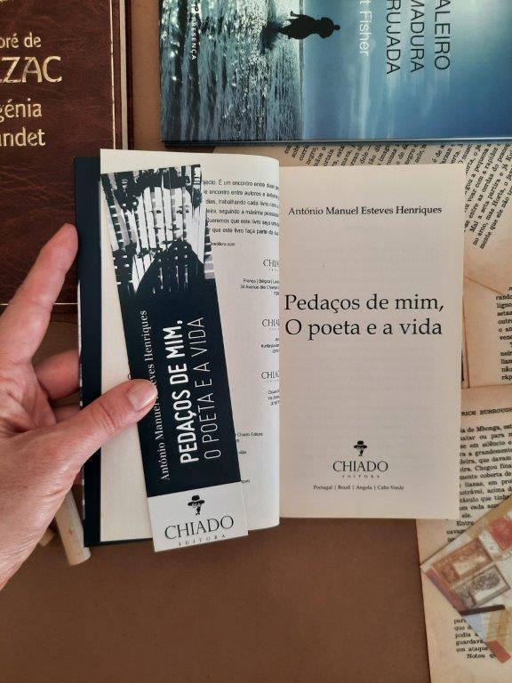 Pedaços de mim, O Poeta e a Vida, António Manuel Esteves Henriques