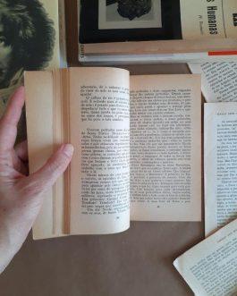 Vida de Machiavelli, Giuseppe Prezzolini