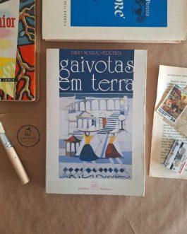 Gaivotas em terra