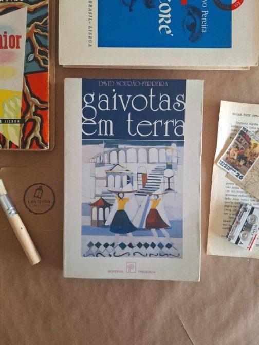 Gaivotas em terra