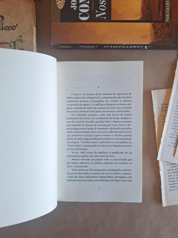 Luz / Negra - Image 3
