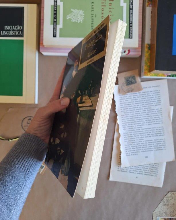 Pedagogias Novas - Image 6