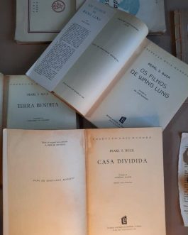 Terra bendita | Os Filhos de Wang Lung | Casa Dividida