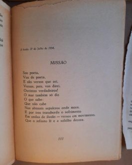 Diário VII