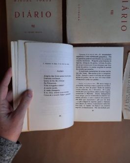 Diário IX