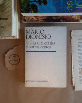 O dia cinzento e outros contos