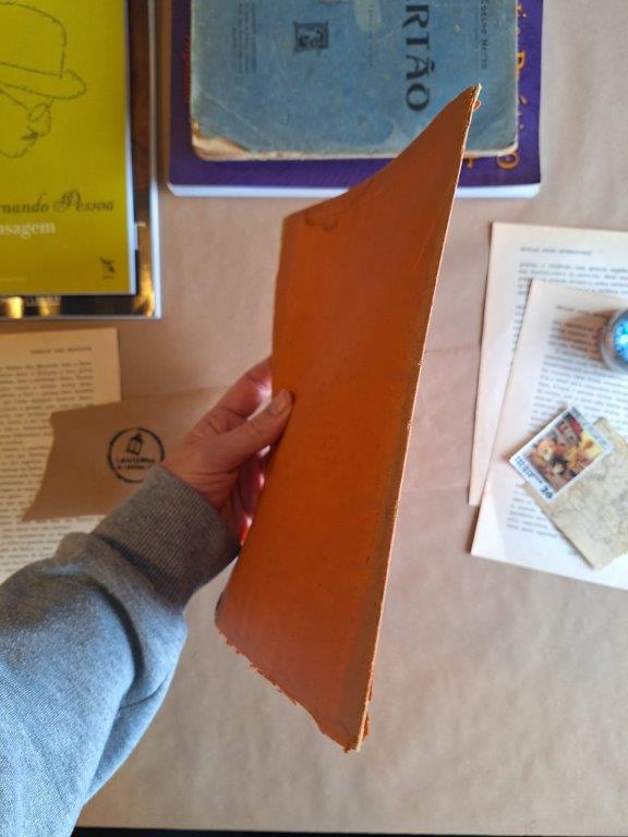 A Inspiração de Fernão de Magalhães - Image 5