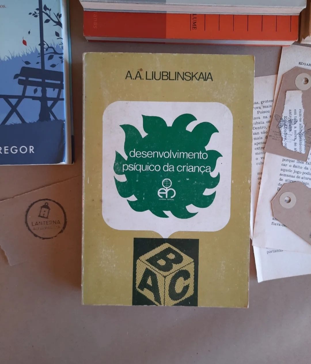 Desenvolvimento psíquico da criança