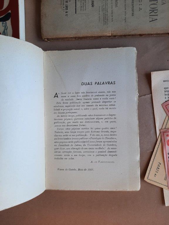 Timidez brevíssimo ensaio para uma psicologia da timidez - Image 2