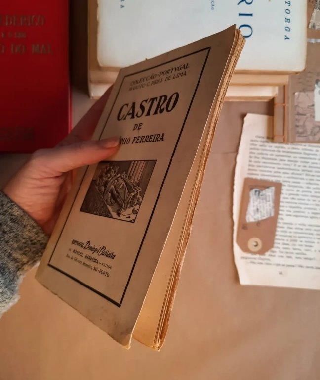 Castro - Image 6