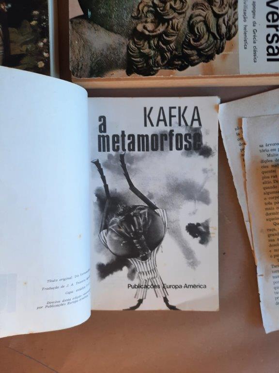 A Metamorfose - Image 2