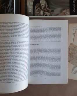 A aventura prodigiosa do nosso corpo