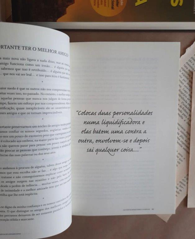 Crónicas de Adolescentes - Um possível ensaio sobre a juventude - - Image 3