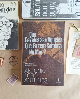 Que cavalos são aqueles que fazem sombra no mar