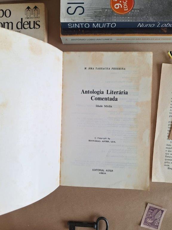 Antologia Literária Comentada - Idade Média - Image 2