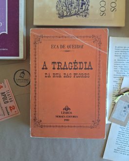 A tragédia da Rua das flores