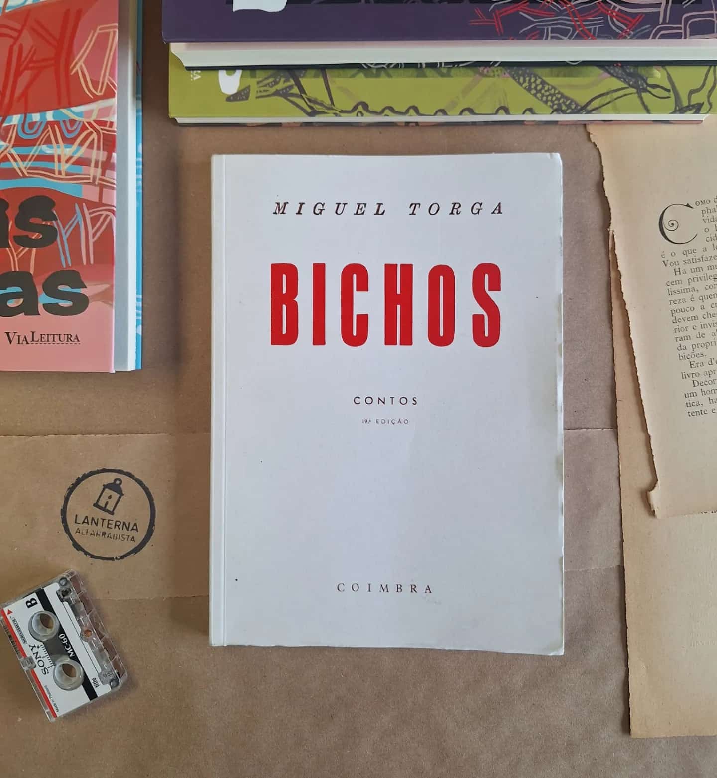 Bichos