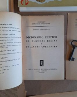 Dicionário crítico de algumas ideias e palavras correntes