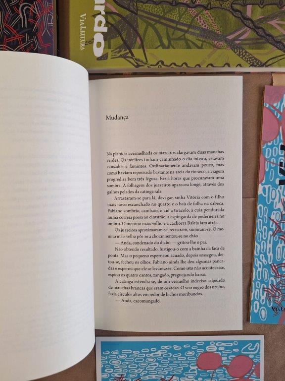 Vidas Secas - Image 3