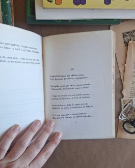Avena Rústica – Obras completas de Augusto Gil