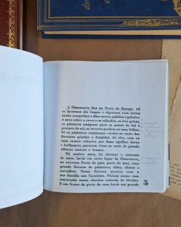 O cavaleiro da dinamarca