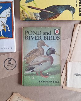 Pond and river birds