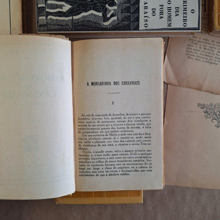 A Morgadinha dos Canaviaes, tomo I e II - Image 4