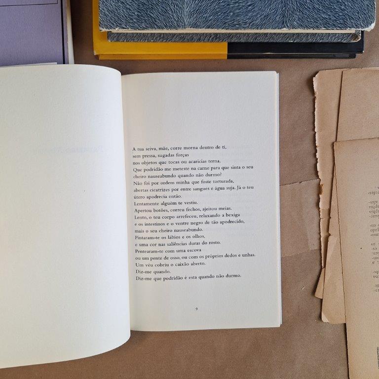 Canto de Tebas - Image 2