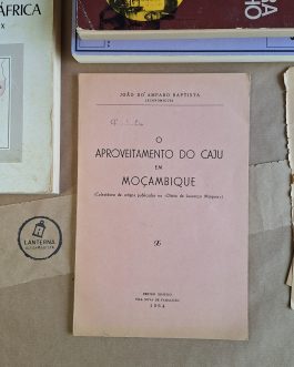 O aproveitamento do caju em Moçambique