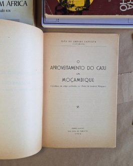 O aproveitamento do caju em Moçambique