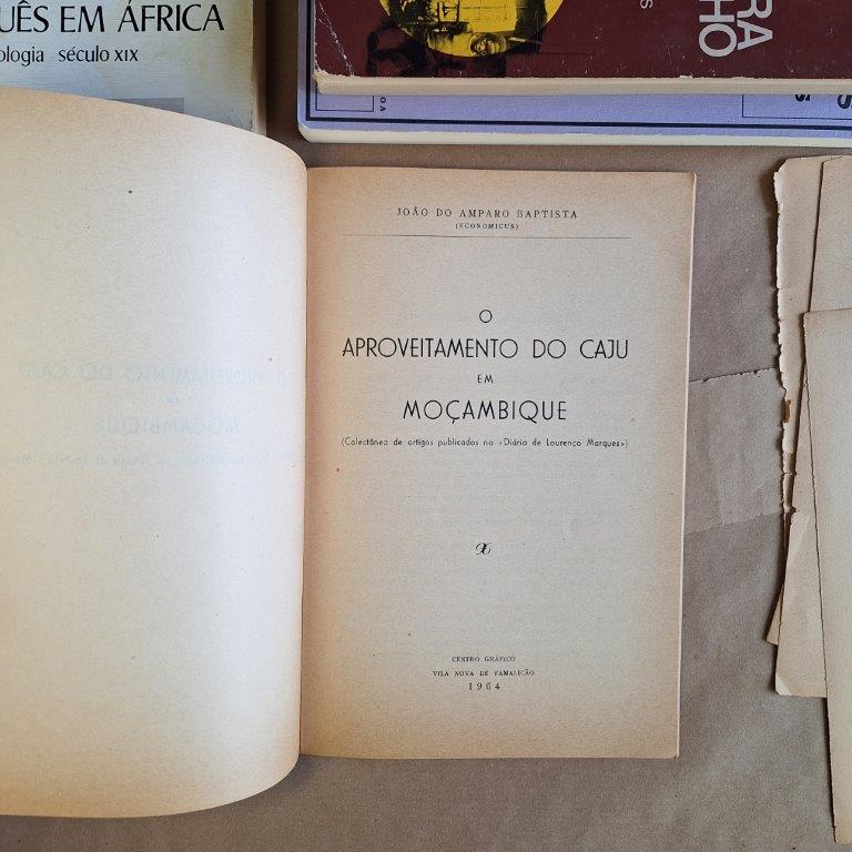 O aproveitamento do caju em Moçambique - Image 2