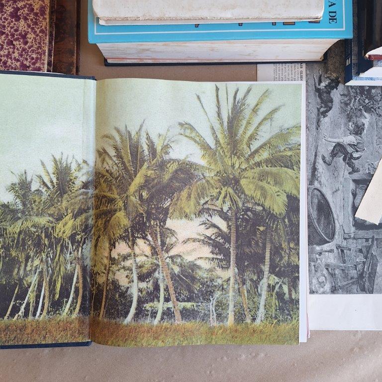 Equador Ilustrado - Image 3
