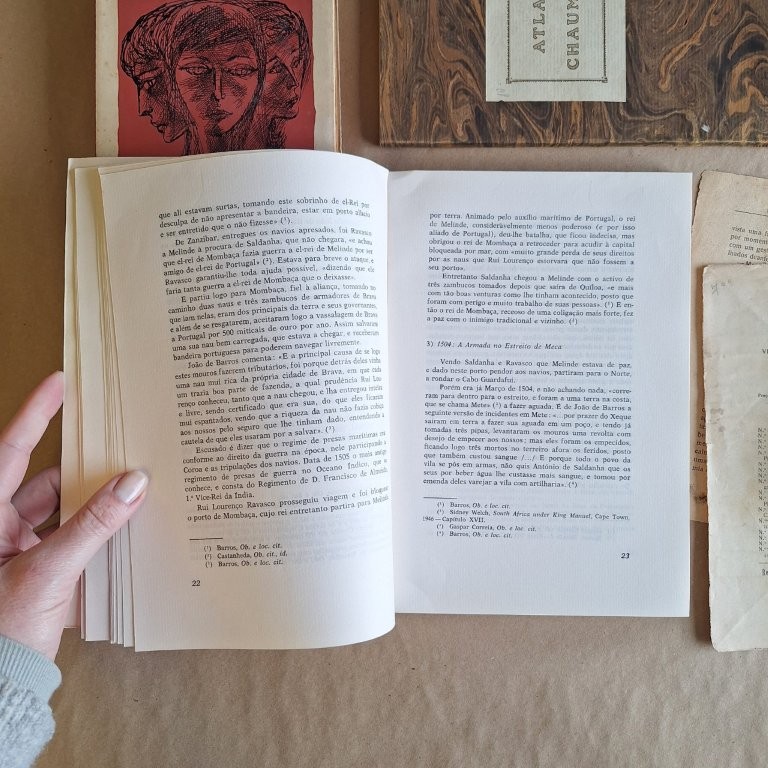 Da época e dos feitos de António de Saldanha