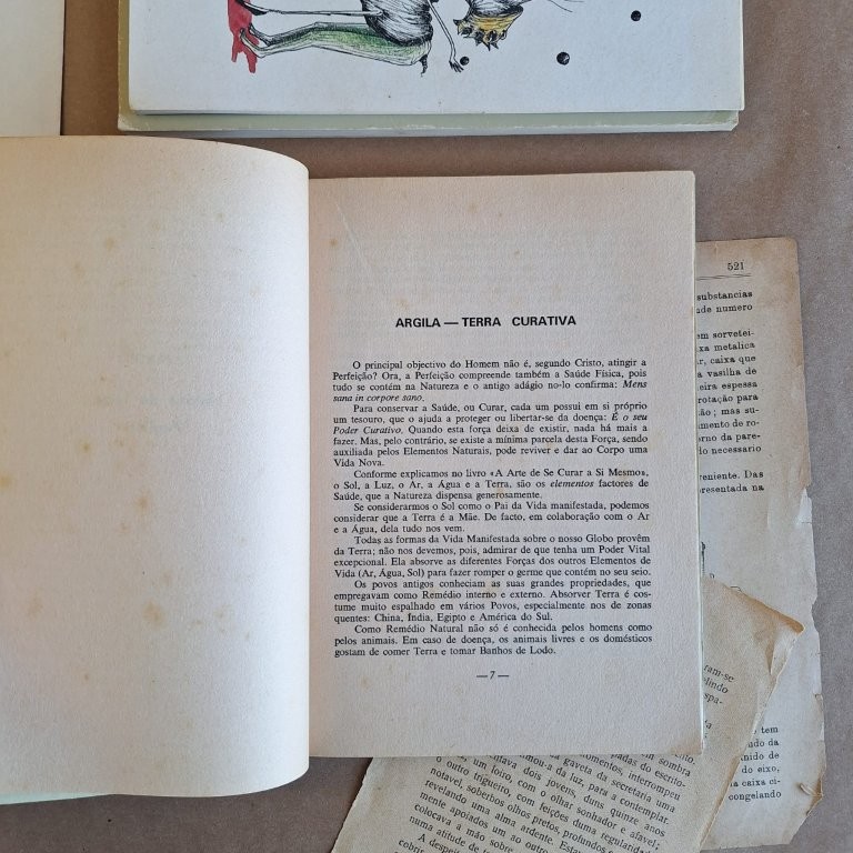 A Argila - Terra curativa