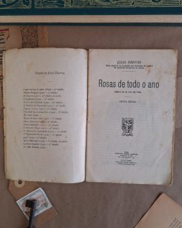 Rosas de todo o ano