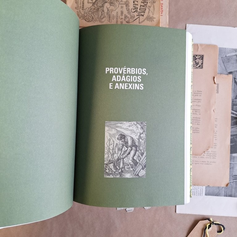 Á Lareira, vol. I e II