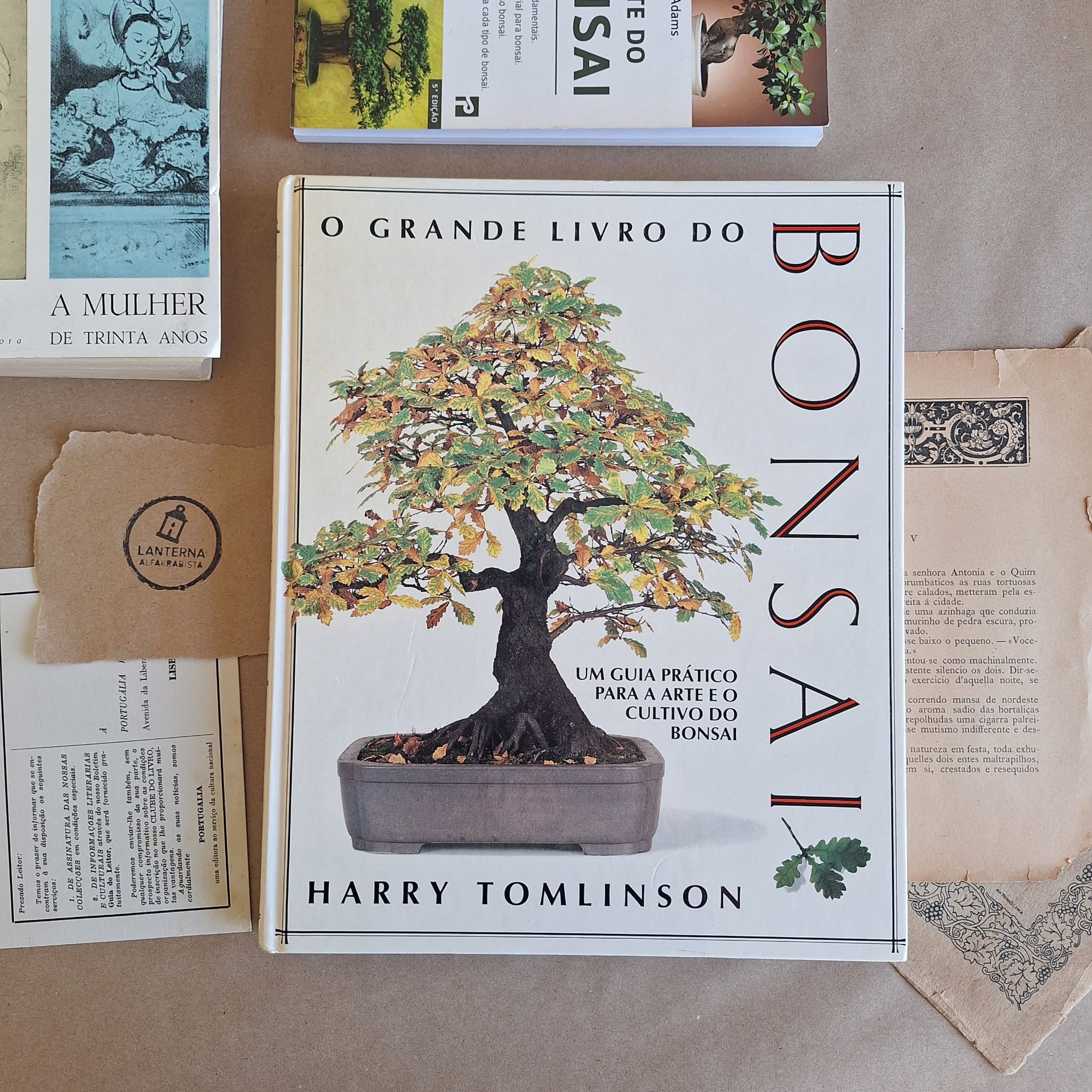 O grande livro do Bonsai