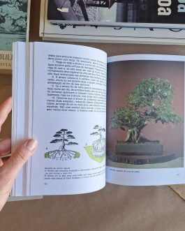 A arte do Bonsai