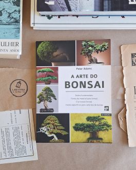 A arte do Bonsai