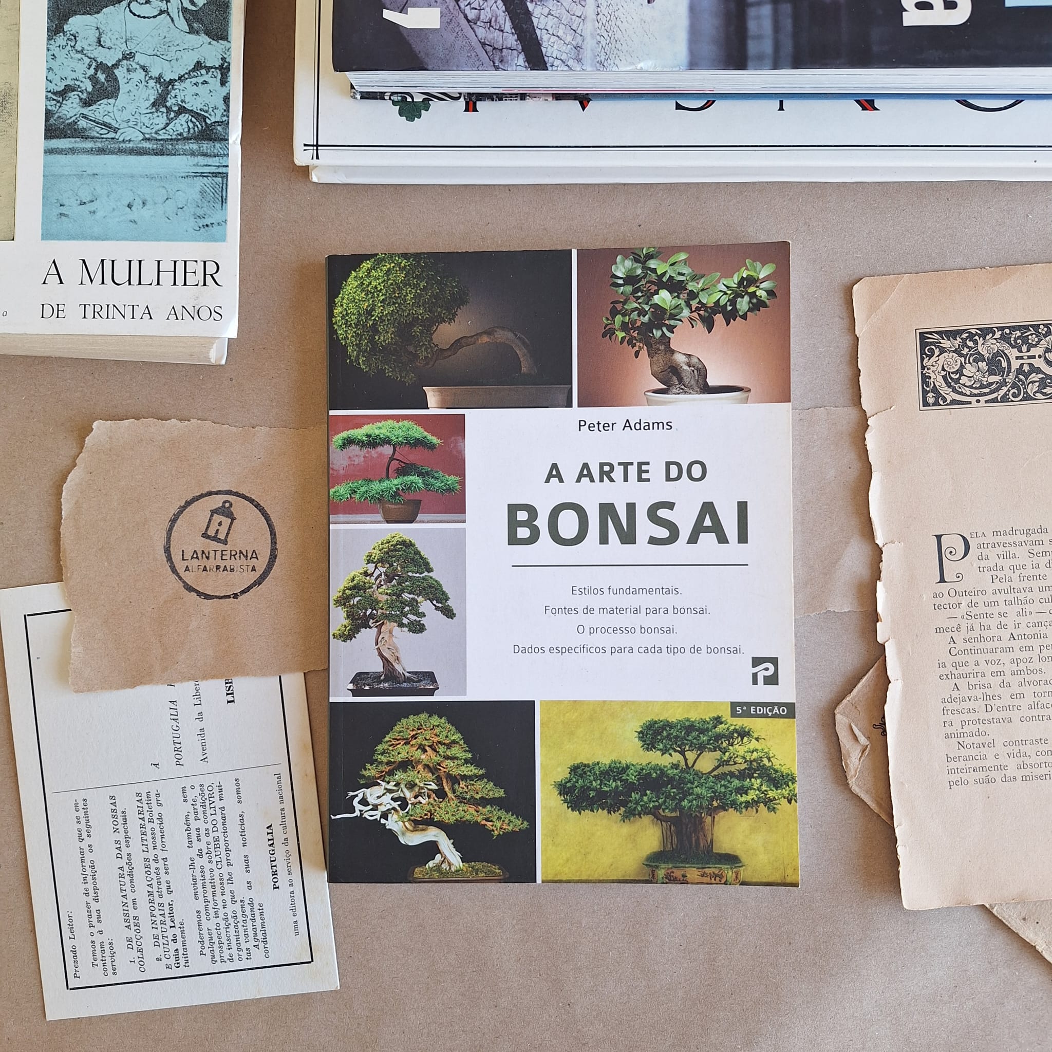 A arte do Bonsai