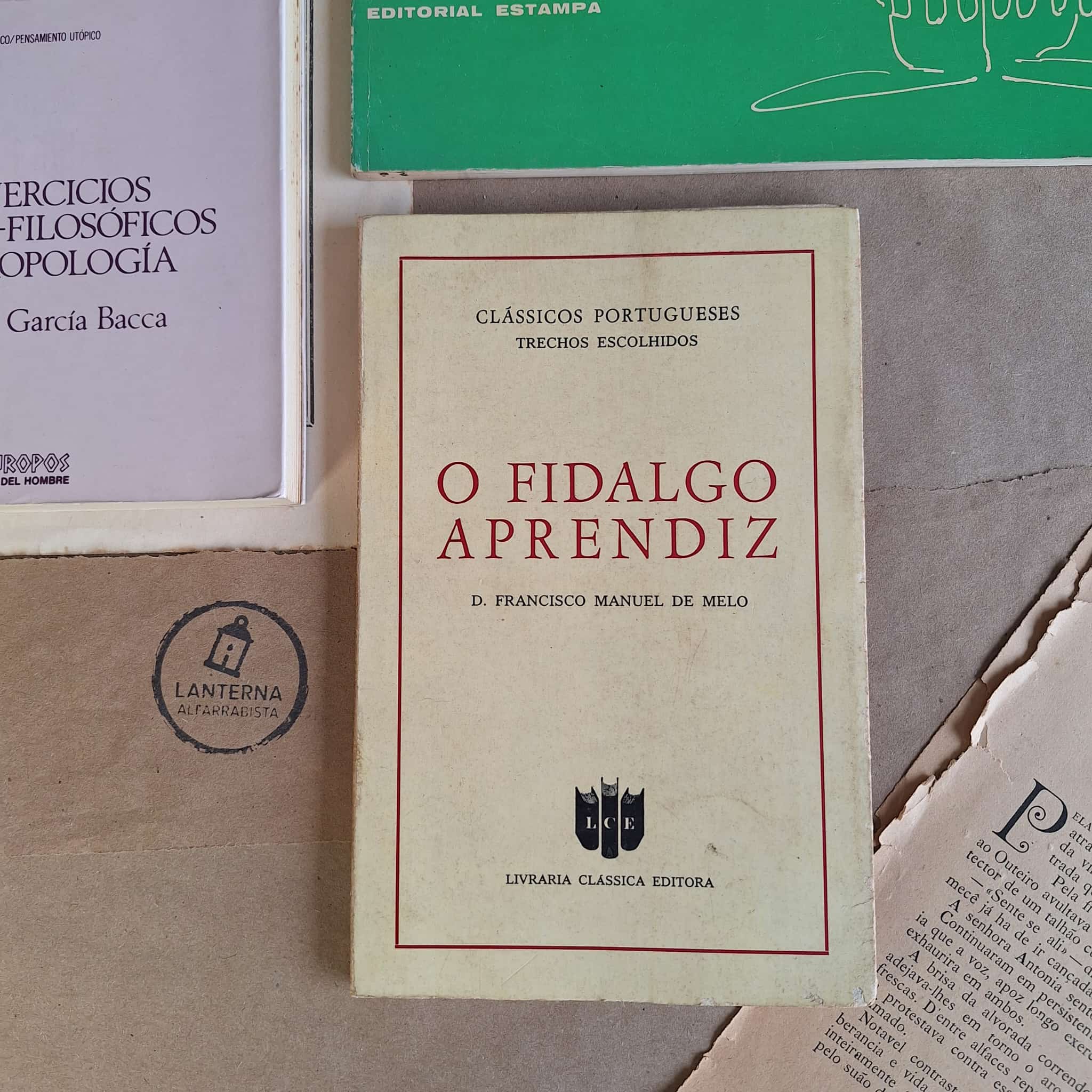 O Fidalgo Aprendiz