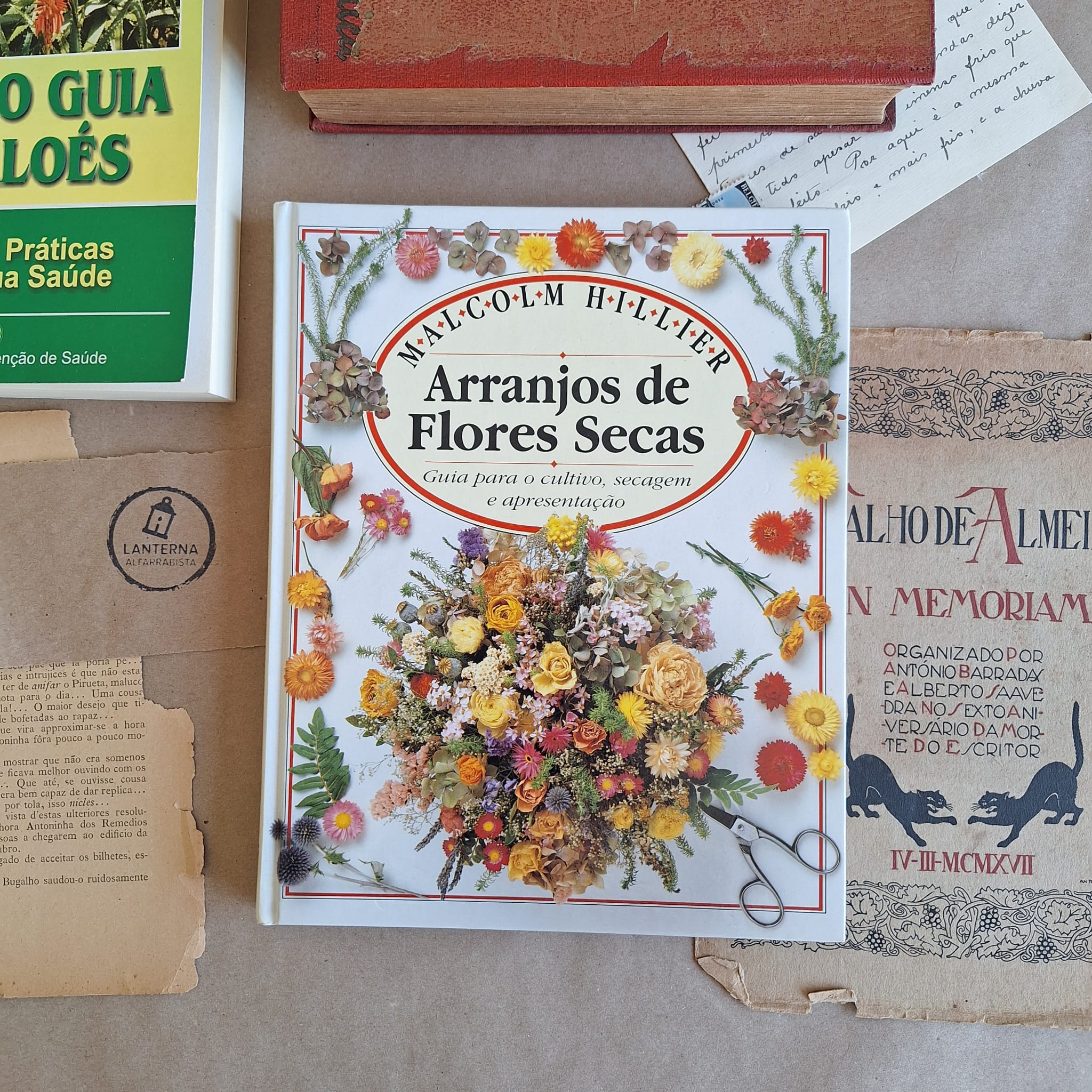 Arranjos de Flores Secas
