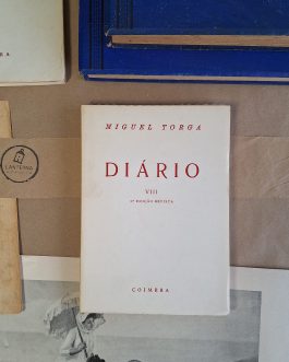 Diário VIII