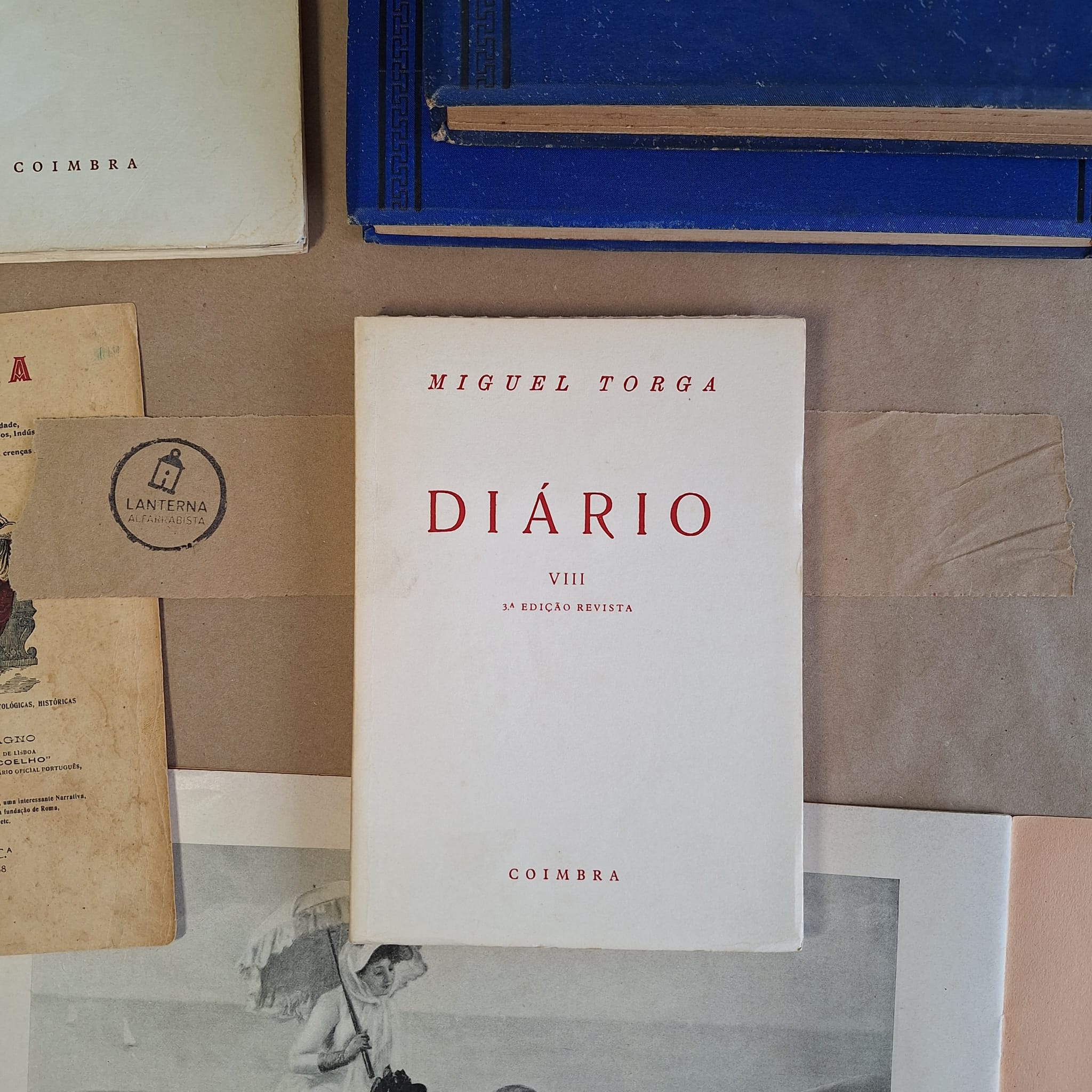 Diário VIII