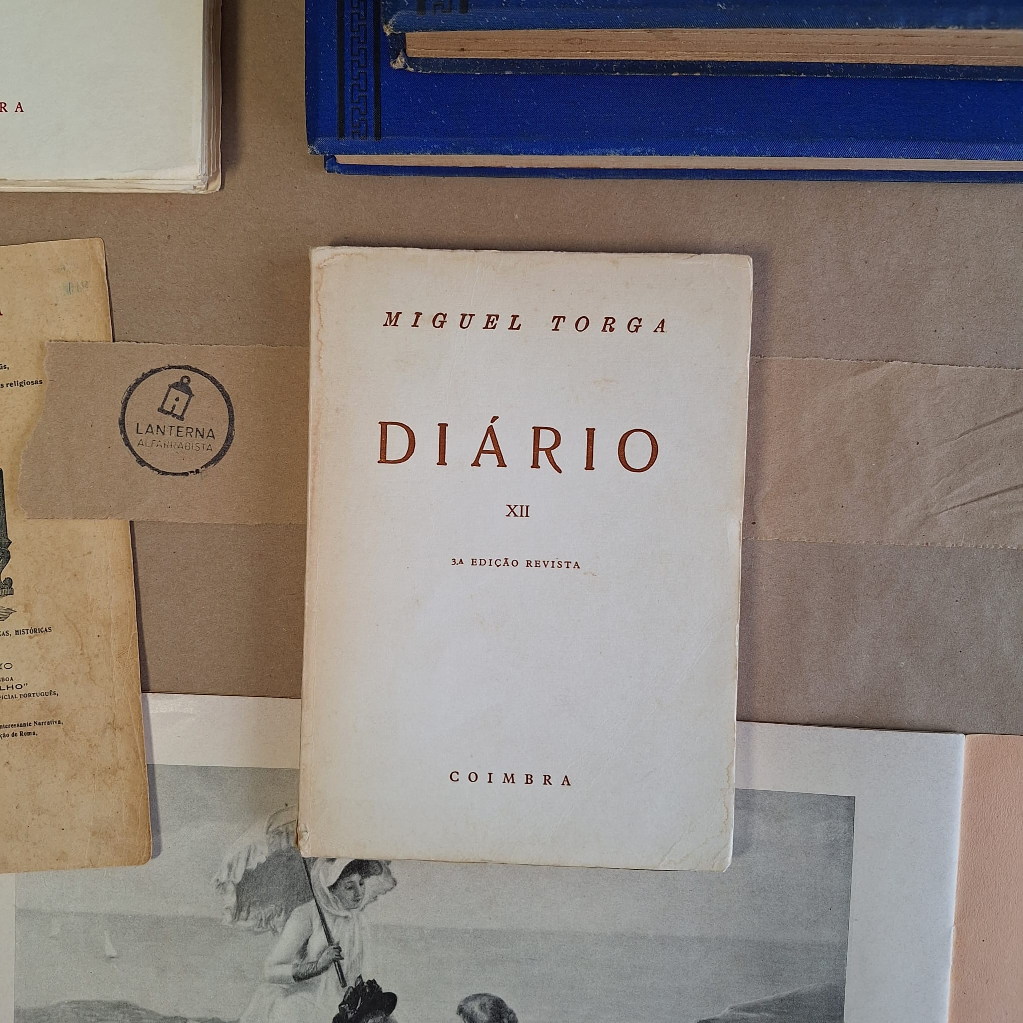 Diário XII
