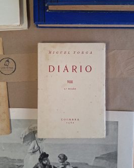 Diário VIII