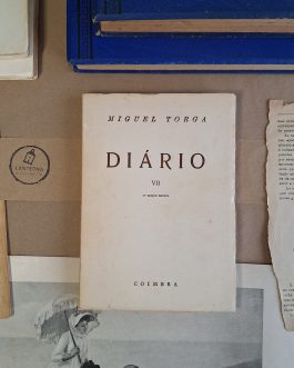 Diário VII