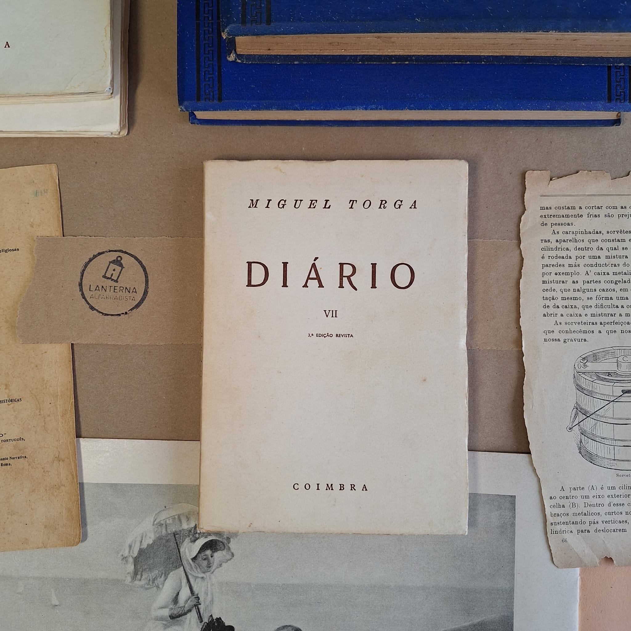 Diário VII